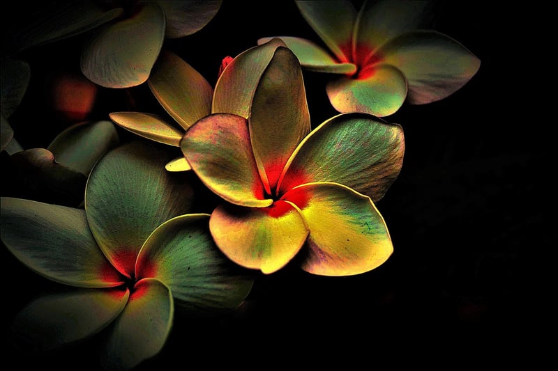 Earthy Colors